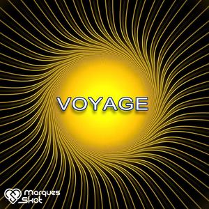 Voyage