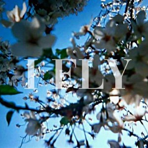 I F L Y (Explicit)