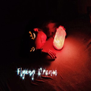 Flying Dream