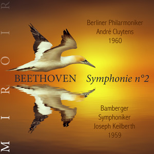 Symphonie n°2, Op. 36 - I. Adagio molto — Allegro con brio