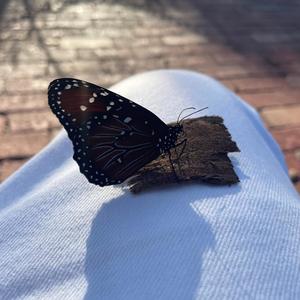 On & Off (feat. DREW TRAVEIL) (Explicit)