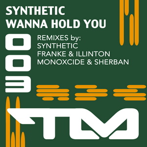 Wanna Hold You (Original Mix)