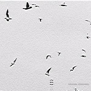 Обыкновенная