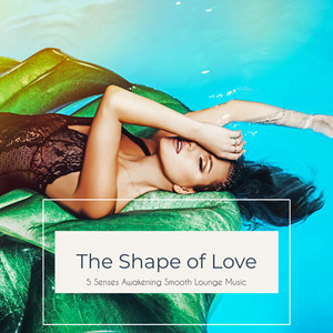 The Shape of Love: 5 Senses Awakening Smooth Lounge Music