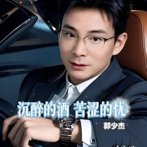 沉醉的酒苦涩的忧 (DJ默涵版)