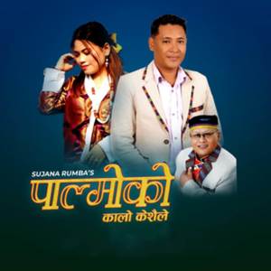 Palmoko Kalo Kesaile