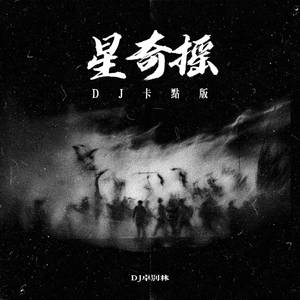 星奇摇 (DJ卡点版)