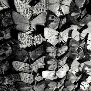 When All Hell Breaks Loose