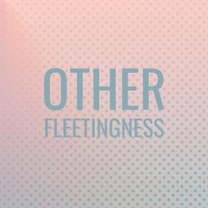 Other Fleetingness