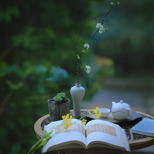 清雅禅境 (古琴纯音乐)