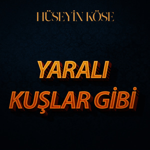 Yaralı Kuşlar Gibi