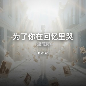 为了你在回忆里哭 (深情版)