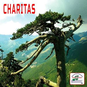 Charitas