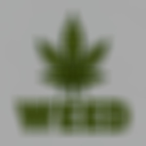 **** (Prod. by Camoflauge Monk|Explicit)