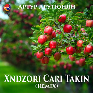 Хndzori Сari Takin (Remix)