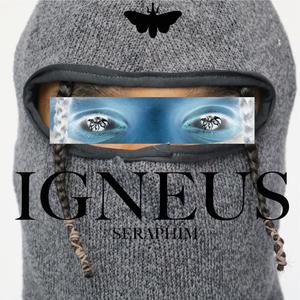 Igneus