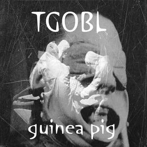 Guinea Pig (A Coldwave Of Fear)