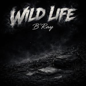 Wild Life (Explicit)