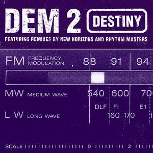 Destiny (Dem 2 Radio Mix)