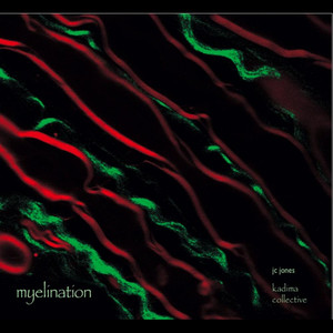 Myelination (Explicit)