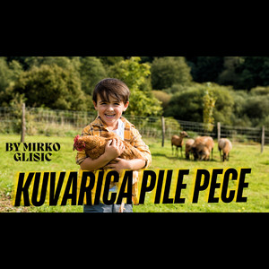 Kuvarica pile pece (Live)