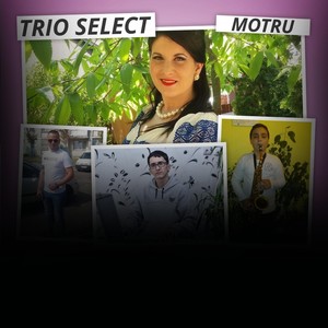 Trio Select