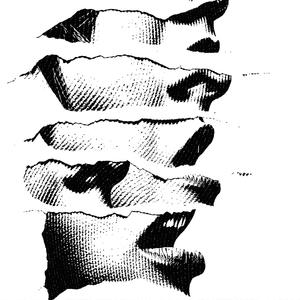 2025 Experience (Explicit)