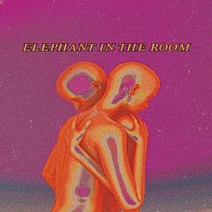 ELEPHANT IN THE ROOM