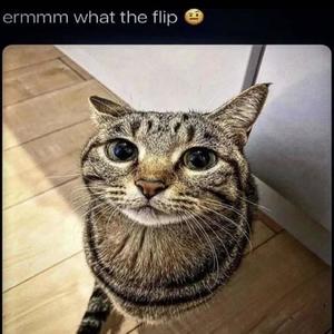 jerk song (Explicit)