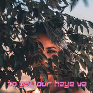 TO GAV DUR HAYE VA