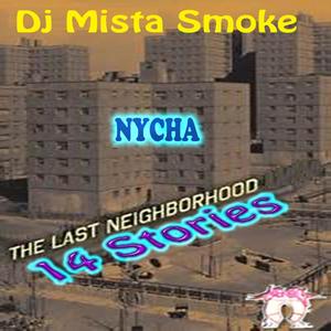 NYCHA 14 Stories (Explicit)