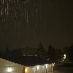 theres a monster but he brings me flowers (Explicit)