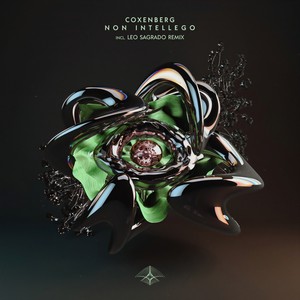Non Intellego (Leo Sagrado Remix)