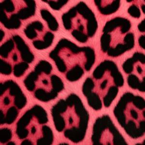 Rose Jaguar (Explicit)