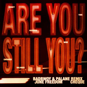 Are You Still You? (Badbwoy & Palane Extended Remix|Explicit)