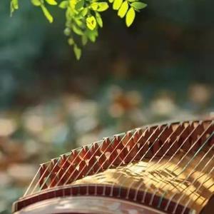 冰壶秋月 - 46.付娜 - 高山流水