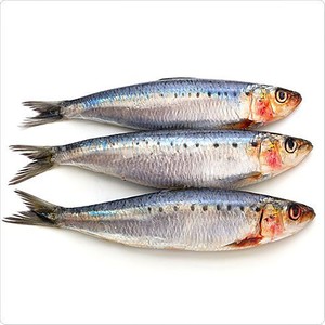 Long Sardine x Skinny Love