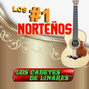 Me Voy Nomas No Llores