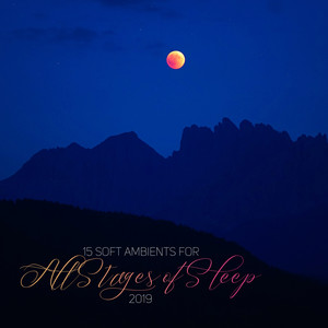 Peaceful Midnight(Grasshoppers)