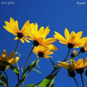 flower (Explicit)