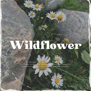 Wildflower