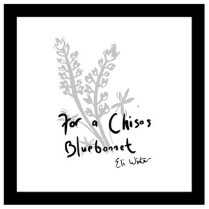 For a Chisos Bluebonnet