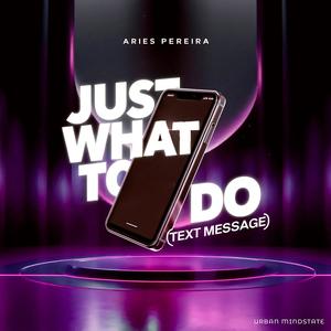 Just What To Do (Text Message) (feat. Urban MindState)