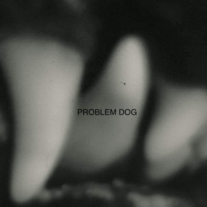 Problem Dog