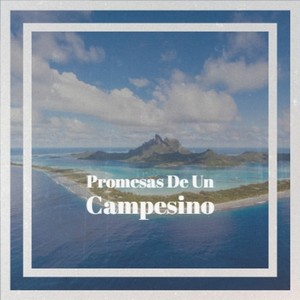 Las Flores De Tu Ventana(Tarantas)