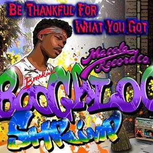 Be Thankful For What You Got (DJ Flash Remix)