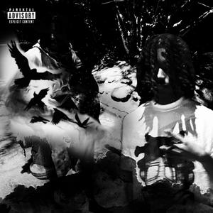 How It Feel (feat. Lil Shawn) (Explicit)