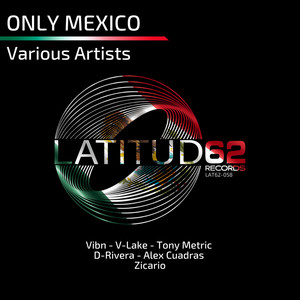 Groove Low (Original Mix)