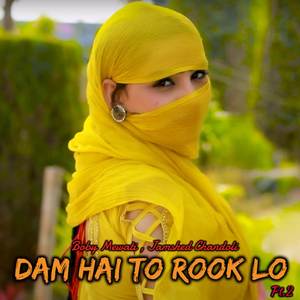 Dam Hai To Rook Lo Pt.2 (Explicit)