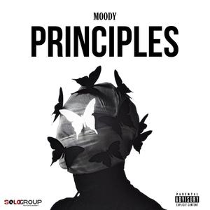 Principles (Explicit)